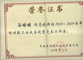 大学优秀党务工作者